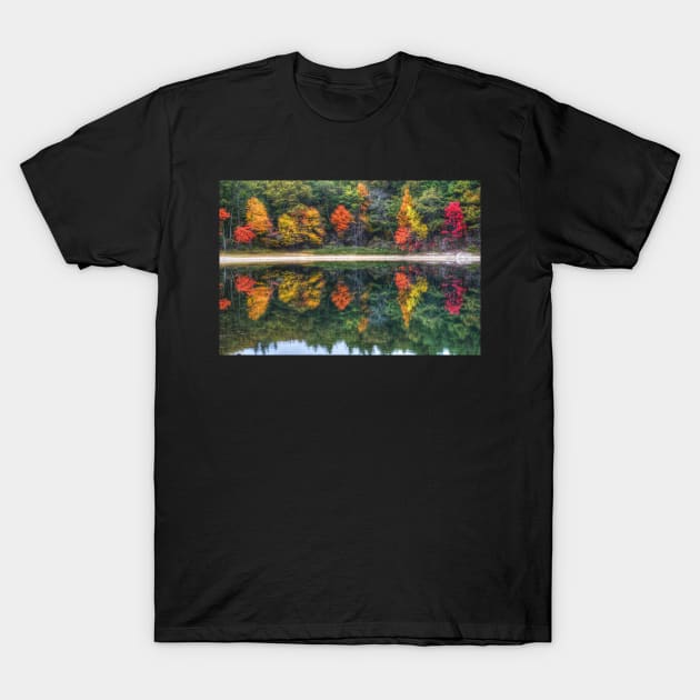 Walden Pond Fall Foliage Concord MA Reflection T-Shirt by WayneOxfordPh